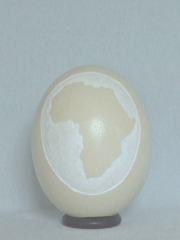 Straußenei Afrika